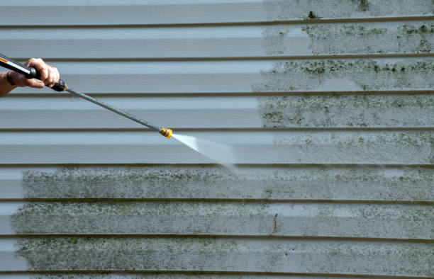Best Attic Mold Removal  in Amherst, TX