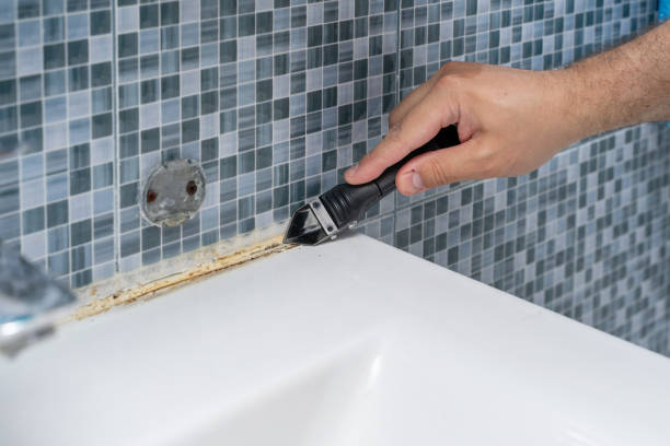 Best Mold Removal Process  in Amherst, TX